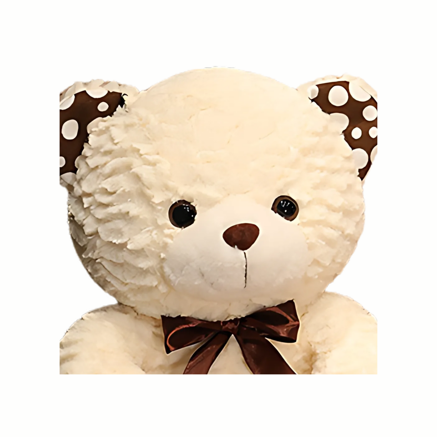 Plush Teddy Bear