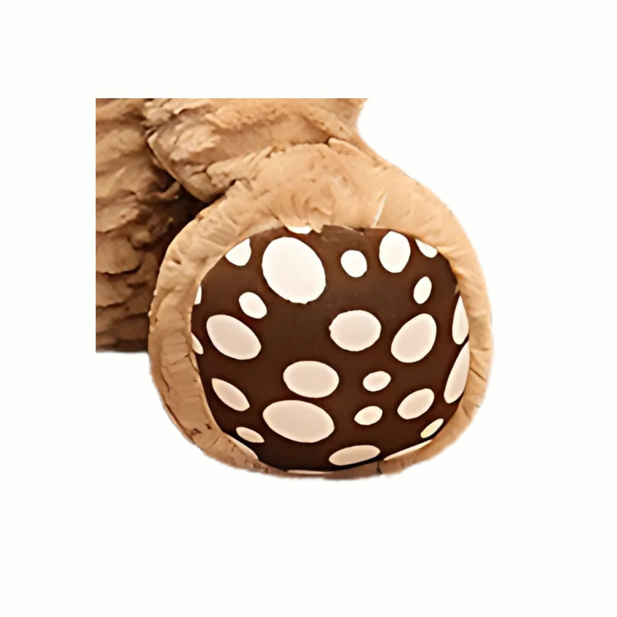 Close-up of the paw of the Plush Classic Teddy Bear in beige, showcasing its snuggly spotted design and child-friendly stitching.